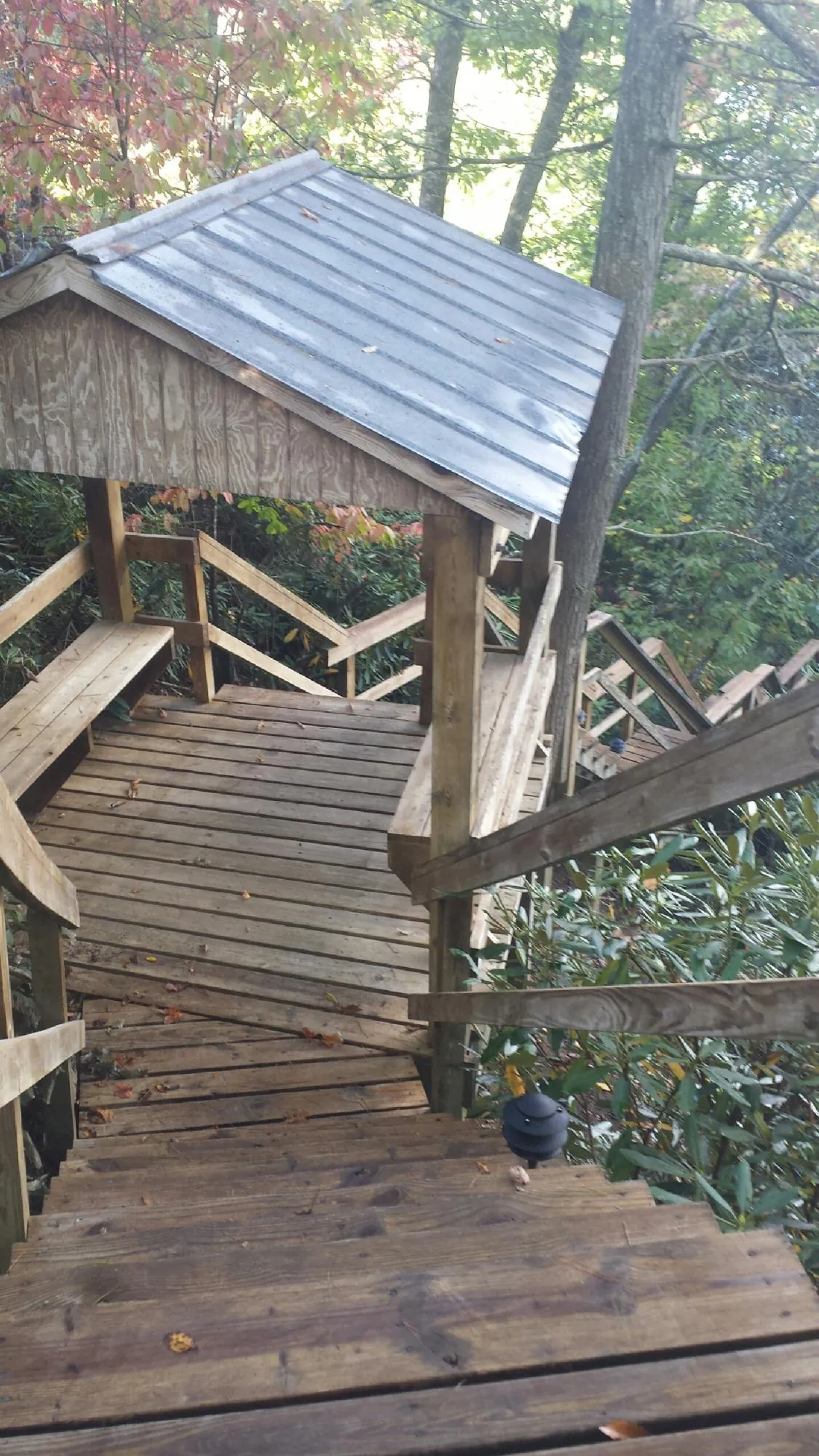 Metal roofed shelter over wooden steps on a wooded walkway — Skylight Repair & Installation work by our crew in Paynes Creek